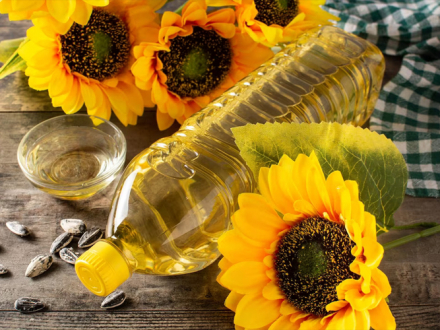 girasol